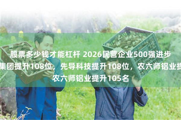 股票多少钱才能杠杆 2026民营企业500强进步榜：伊泰集团提升108位，先导科技提升108位，农六师铝业提升105名