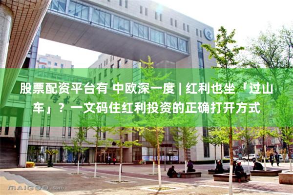 股票配资平台有 中欧深一度 | 红利也坐「过山车」？一文码住红利投资的正确打开方式
