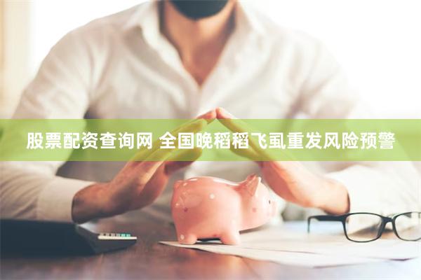 股票配资查询网 全国晚稻稻飞虱重发风险预警