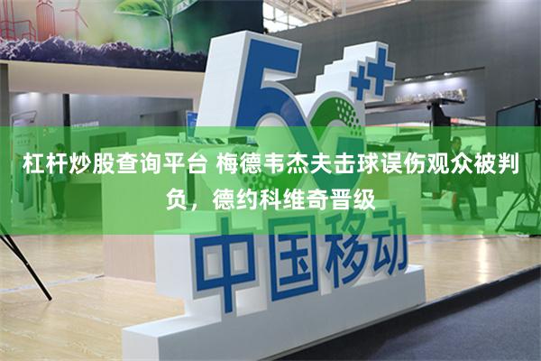 杠杆炒股查询平台 梅德韦杰夫击球误伤观众被判负，德约科维奇晋级