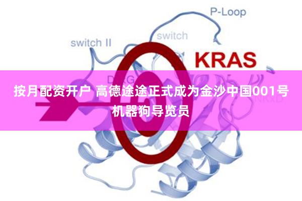 按月配资开户 高德途途正式成为金沙中国001号机器狗导览员